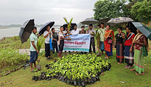 বিলাইছড়িতে কৃষি অফিস কর্তৃক প্রণোদনা কর্মসূচী আওতায় চারা বিতরণ