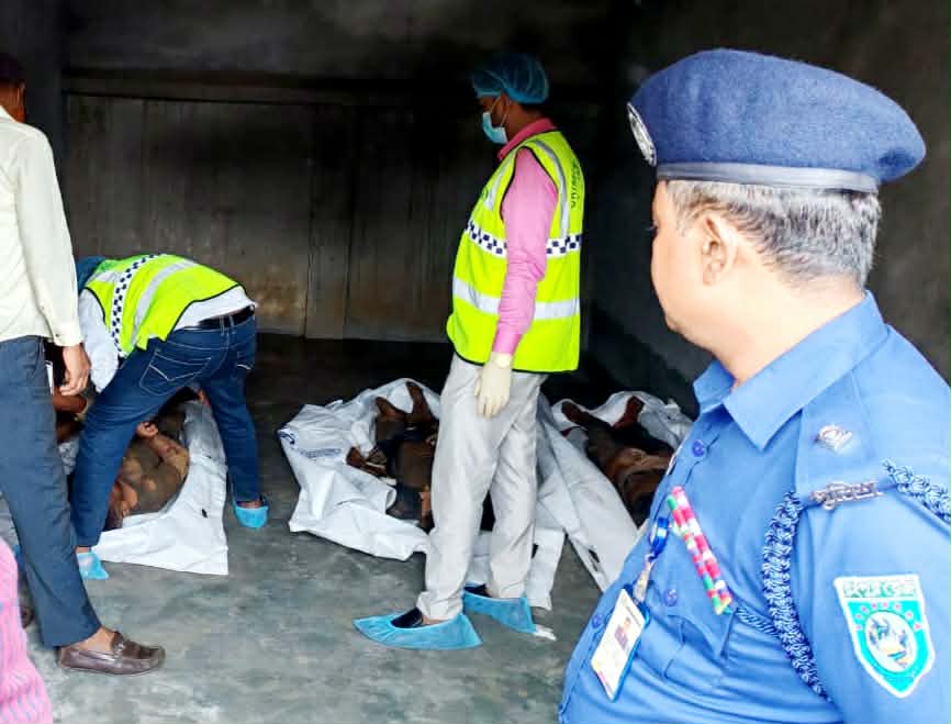 গোবিন্দগঞ্জে গরু চুরি করে পালানোর সময় গণপিটুনীতের তিনজন নিহত