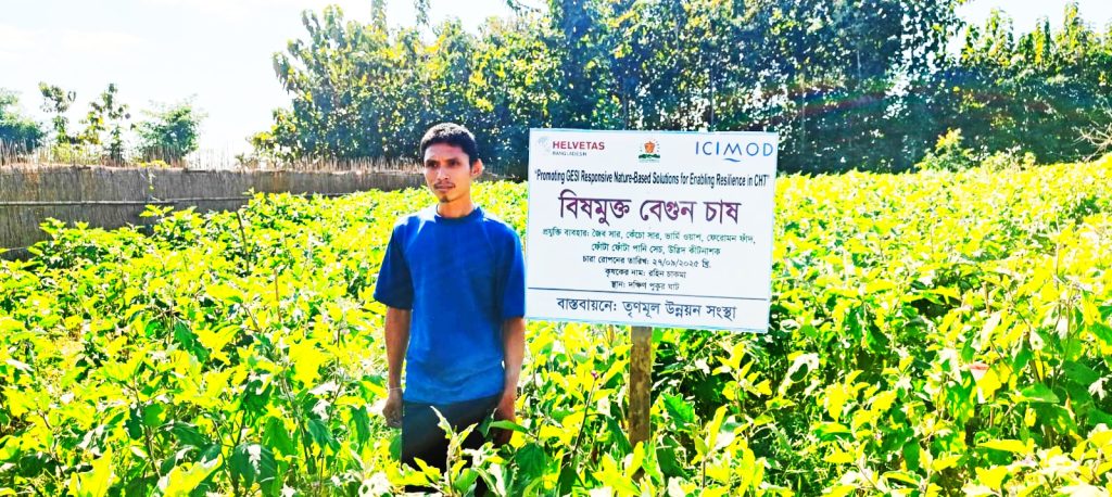 দীঘিনালায় রাসায়নিক-বিহীন সবজি চাষে সফল কৃষকরা, পরিবেশবান্ধব কৃষির মডেল উদ্ভাবন