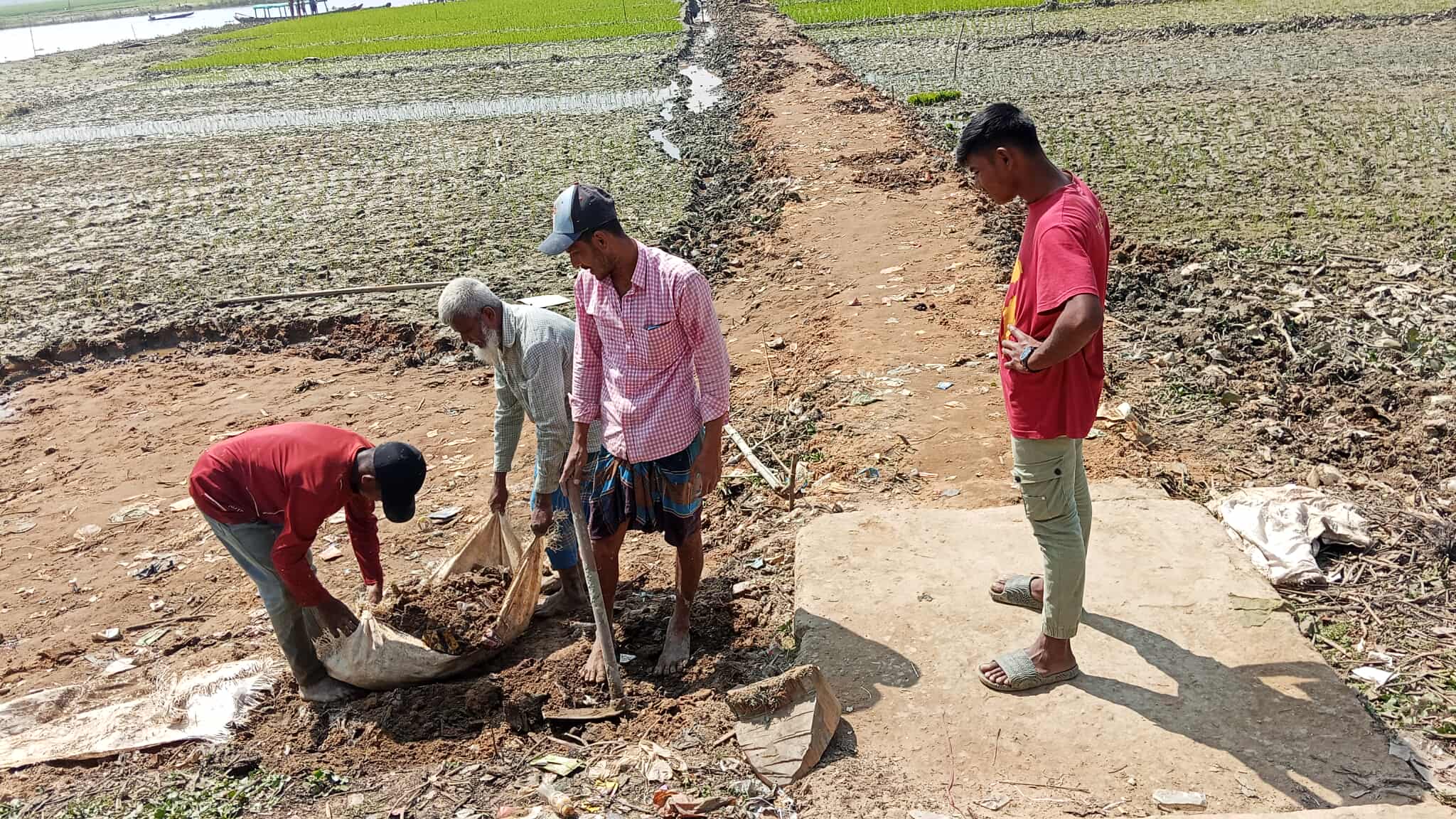 বিলাইছড়ি যুবদলের সভাপতি কাদের এর নেতৃত্বে কাদামাটির উপর শক্ত মাটি বসিয়ে যাতায়াতের সুবিধা