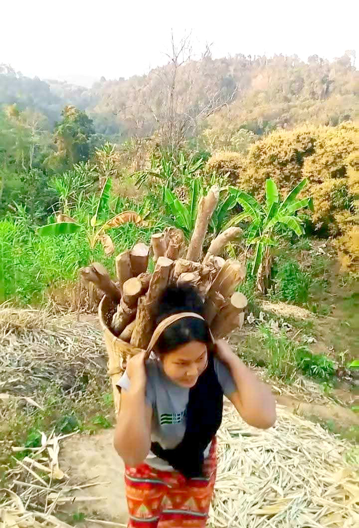 পাহাড়ি নারীরা পরিশ্রমী—স্বামীর সংসারে তাদের অবদান অপরিসীম