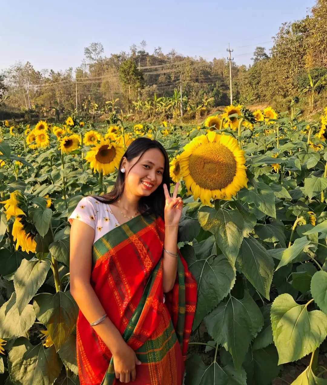 সূর্যমুখী বাগানে ছবি তুলতে পাহাড়ি তরুণীদের ঢল