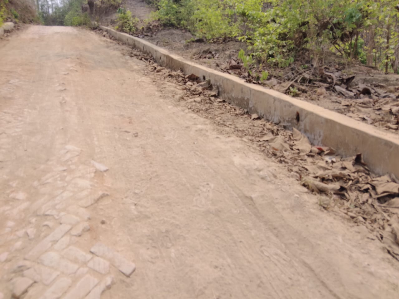 বলি বাজার হতে ক্যচুক পাড়া সড়ক বেহাল, চরম দুর্ভোগে ১০/১২ হাজার মানুষ