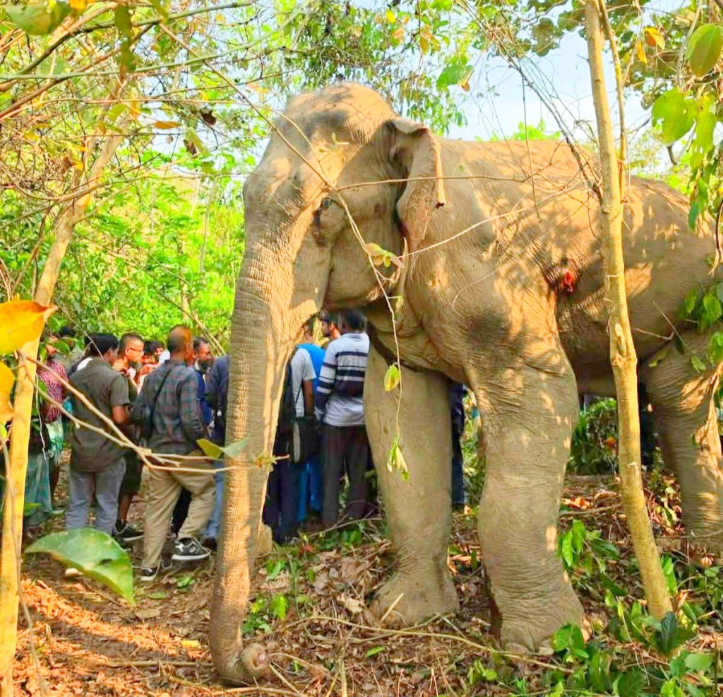পাহাড়ে বৈচিত্র্যের উৎসবে সম্প্রীতির বন্ধন, বিজু-সাংগ্রাই-বৈসু-বিষু-চাংক্রানের আমেজ