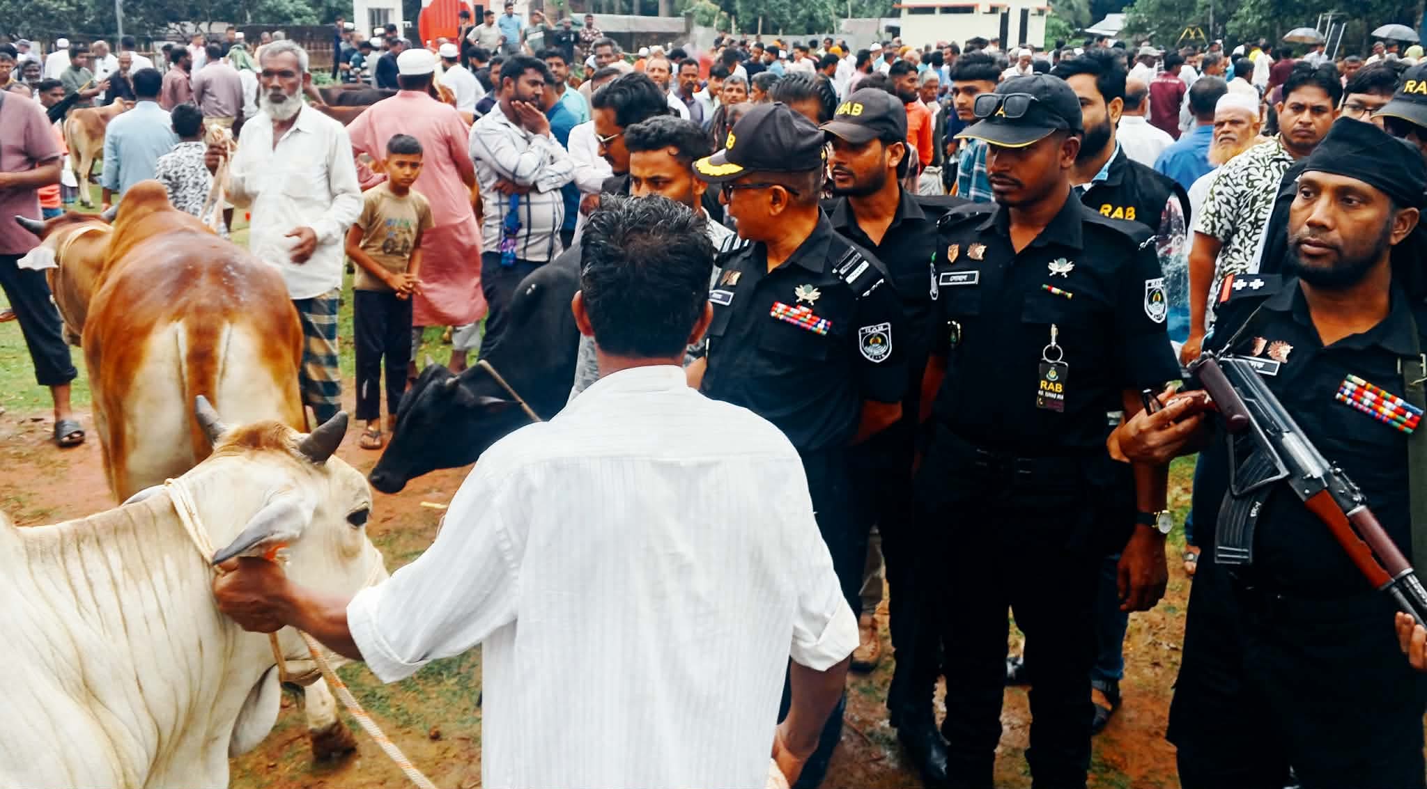 ঈদকে সামনে রেখে গরুর হাটে র‍্যাব-৭ এর বিশেষ নজরদারি