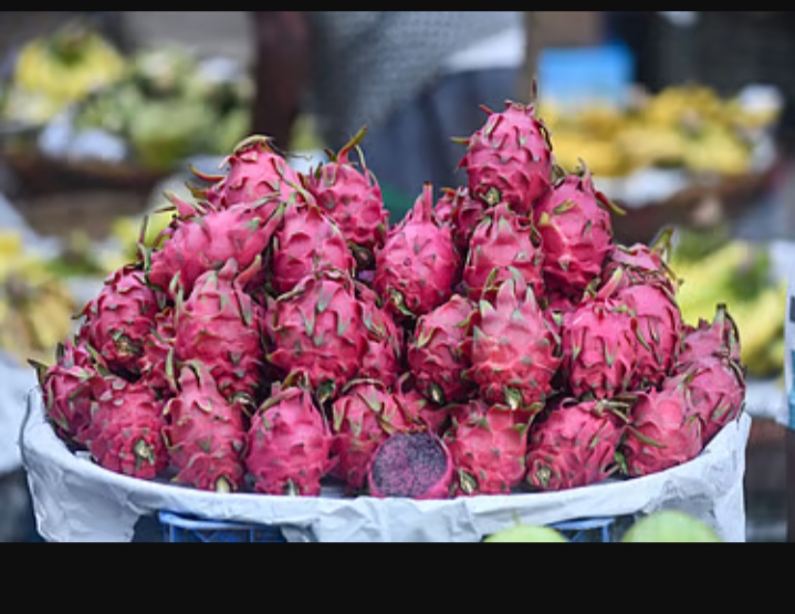 ড্রাগন ফলের দাম কম ; হতাশ বান্দরবানের চাষিরা