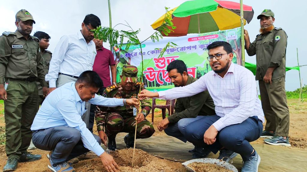 বিলাইছড়িতে কৃষি অফিস কর্তৃক চারা বিতরণ 