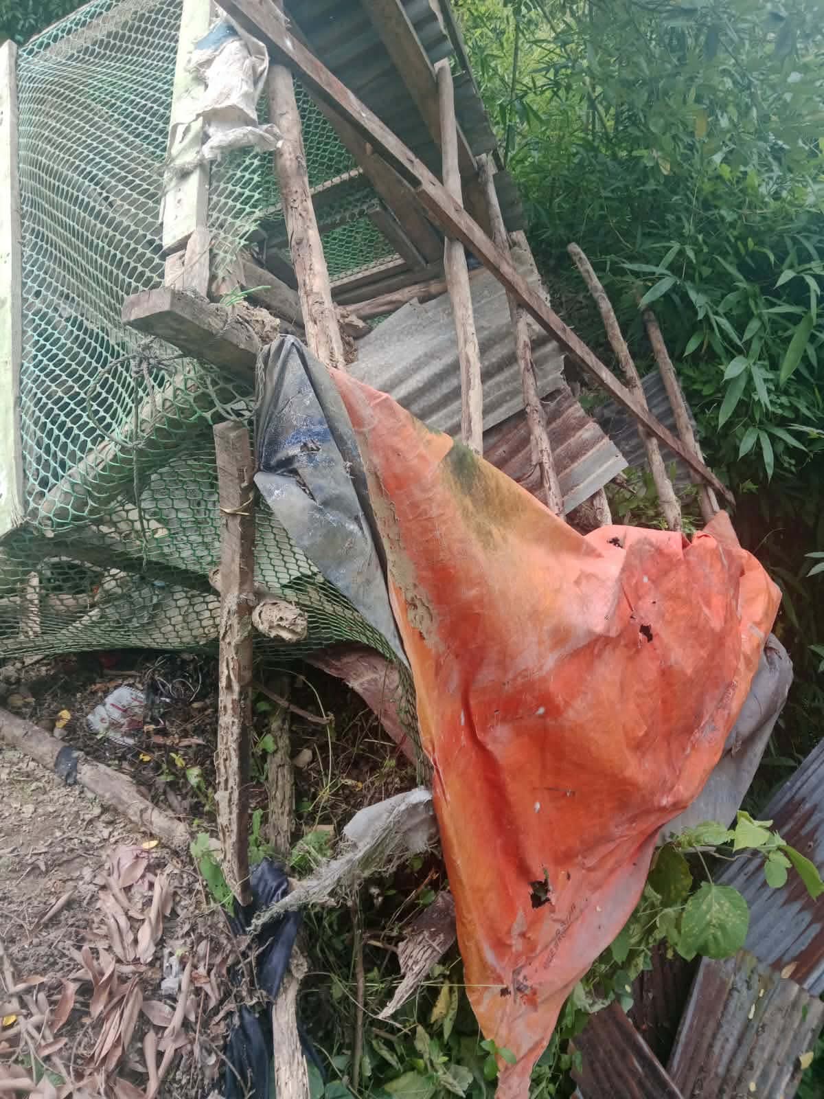 কাপ্তাইয়ের চিৎমরমে বন্য হাতির উপদ্রব: চরম আতঙ্কে স্থানীয়রা