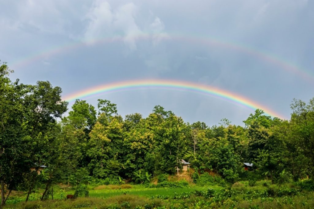 পাহাড়ের জীবন ও প্রকৃতি বিলাইছড়ির পাহাড়-ছড়া পেরিয়ে বালুখালী ফেরার পথে: মেঘ-বৃষ্টির ক্যানভাসে সাতরঙা রংধনু
